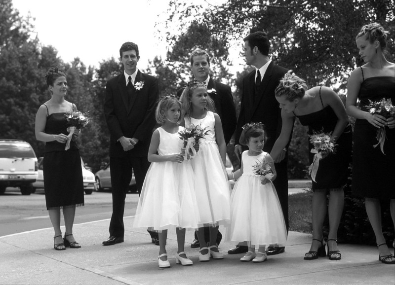 groomsmen, flowergirls, bridesmaids