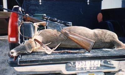 Unluckiest buck in Texas - 1993