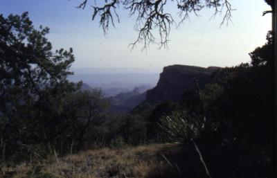 View from on high; East Rim trail:  Easter, 1980.