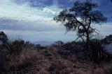 Mexico and the Sierra del Carmen Mountains from the South Rim trail: Easter 1978.