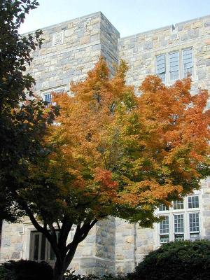 Virginia Tech, Burruss Hall, Oct. 2000