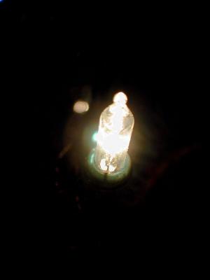A single glowing Christmas Tree light