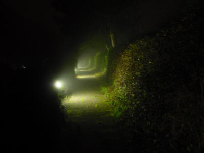 A foggy night with my 505v. (Rafal Zeier)