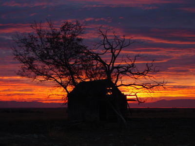 Sunrise at the old homestead; (exhibition) by CindyD