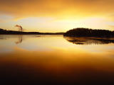 Early morning by Kjell Olsson