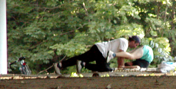 underpass workouts closeup