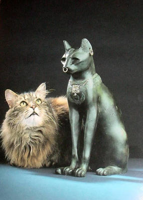 This cat scupture is on display, and reproductions of it are sold in the gift shop.  The actual cat is NOT on display!