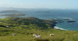 Ireland.outsideWaterville.jpg