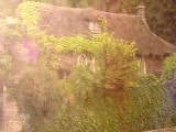 UK.Bath.thatched.bus.jpg