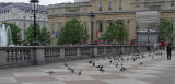 I did mention the pigeons, right? I know you are wondering, and yes, one pigeon will be remembered by me for a long time! This was not a souvenir I had planned on! (grin)
