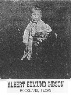 Albert Edmund Gibson