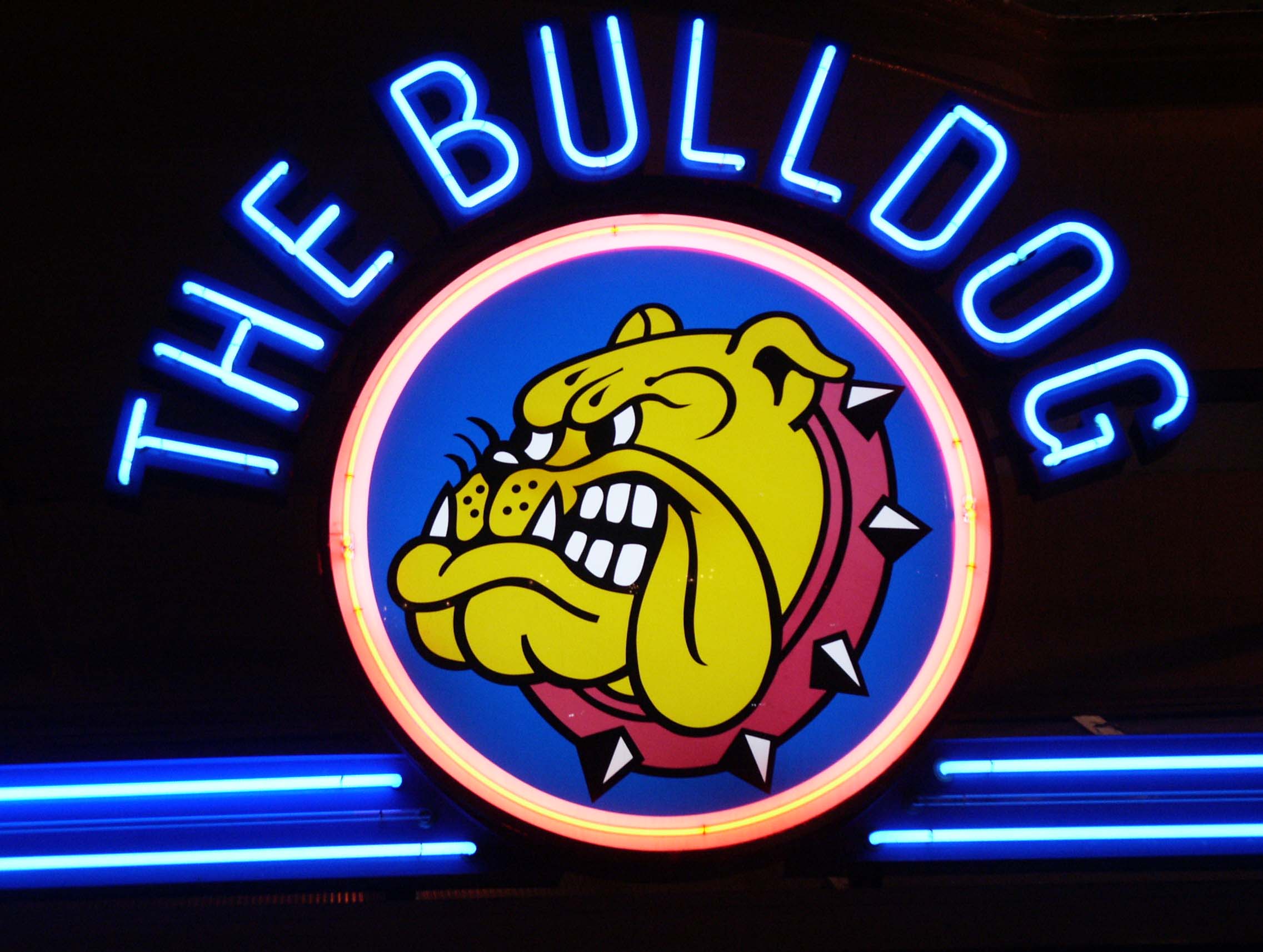The Bulldog.jpg