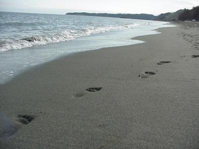 beach footsteps.JPG