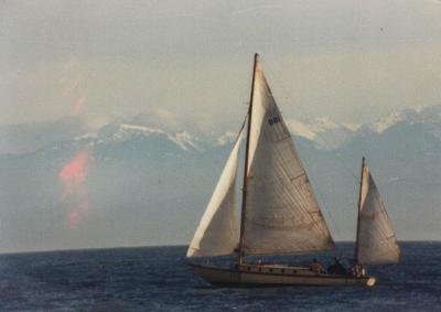 sailboatand Olympic Mts.jpg