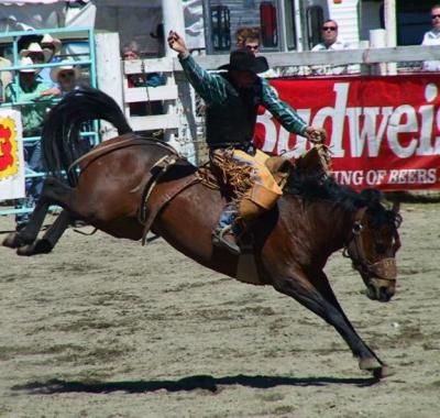 Luxton Rodeo 2003  Victoria, BC  Canada