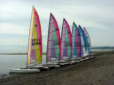 Colorful sails.jpg
