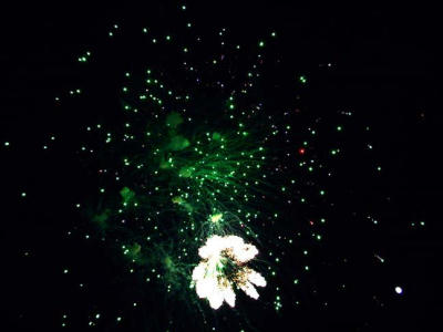 Fireworks 15.jpg