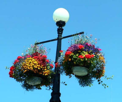 Victoria's hanging baskets.jpg