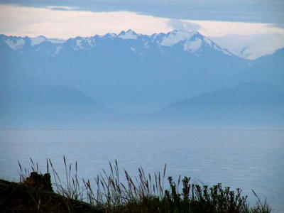 Olympic Mts.from Victoria.jpg