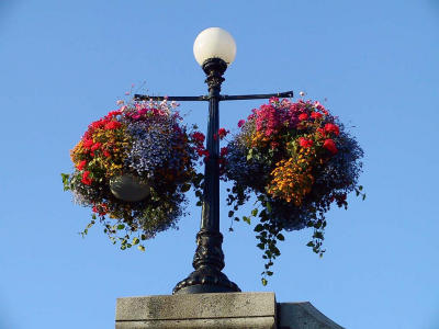 u/woody/medium/243260.Victoriasflowerbaskets.jpg