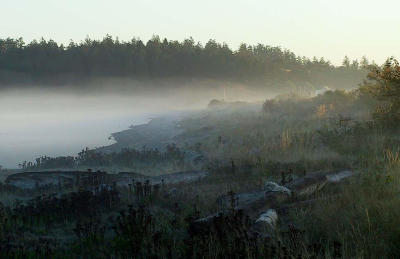 Morning early sun and fog.jpg