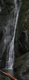 Goldstream Falls panoramic.jpg