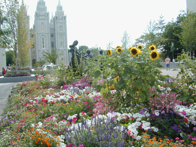 LDS Garden