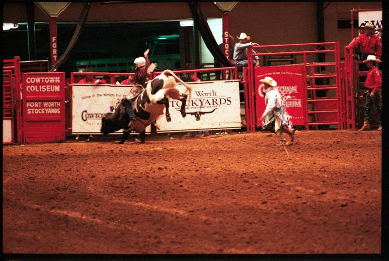 bull rider and bull fighter