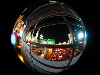 FishEye thru the fencing