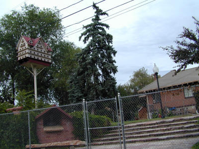 Bird Haus