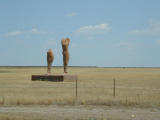 Legs - Amarillo, Texas