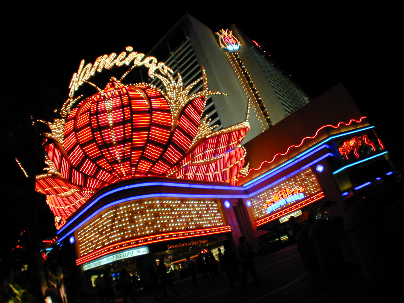 Flamingo! Las Vegas, Nevada