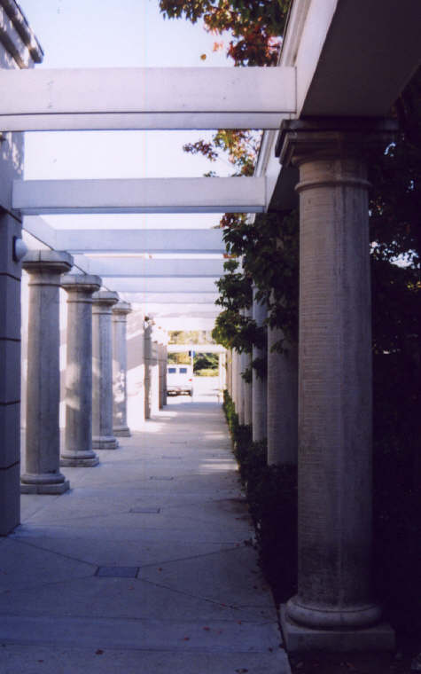 Los Gatos' Idea Of An Alleyway