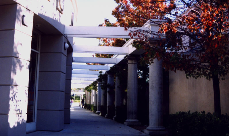 Another view of the walkway.
