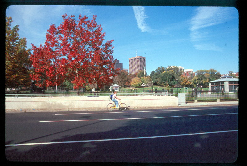 Boston Commons