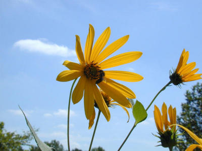 Dscn0793a.jpg