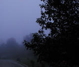 fog1w.jpg