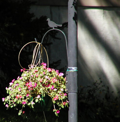 flowerpost.jpg