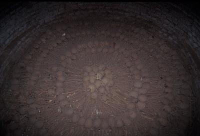 Catacombs beneath the Iglesia de San Francisco