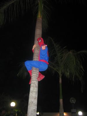 Spiderman de Palmas