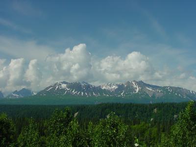 Alaska-July 2001 (Mt. McKinley)