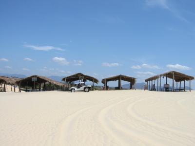 Sand boarding oasis