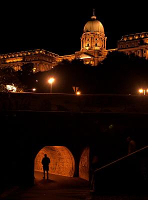 Buda Palace