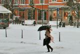 Snowstorm
