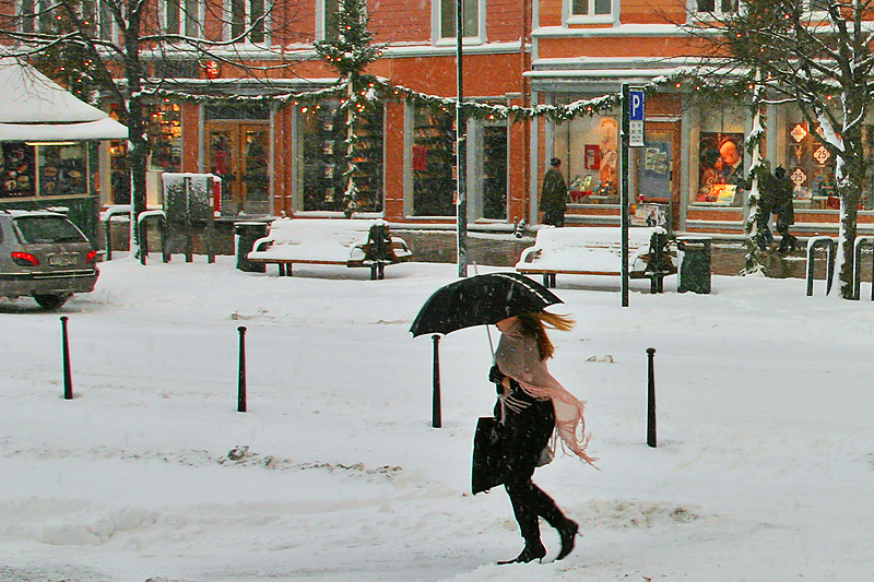 Snowstorm