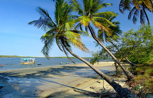 Vioso coqueiral da praia fluvial do Fortim2