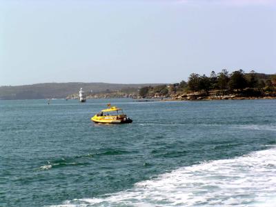 Cruise17.jpg