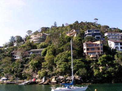 Cruise46.jpg