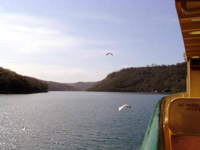 Cruise50.jpg
