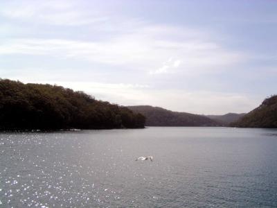 Cruise51.jpg